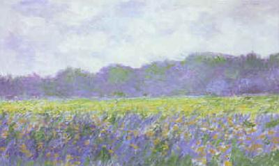 Claude Monet Field of Yellow Iris at Giverny oil painting picture